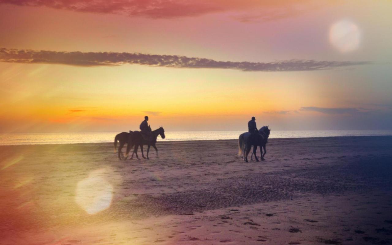 Blue Wave Lodge Agadir n'Ait Sa Bagian luar foto